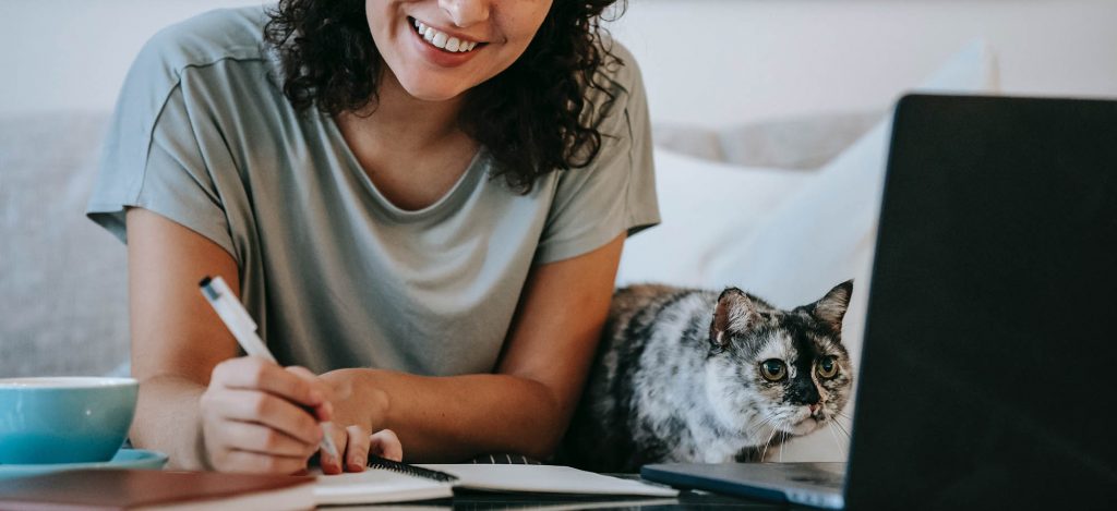 Kunskapstester online